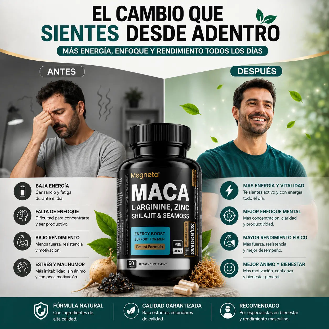 Suplemento Megneta Maca Hombres | 60 Cápsulas